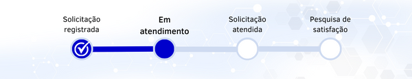 SS GOVI - BR - 2 - Em Atendimento - PRECISA IMPLEMENTAR.png