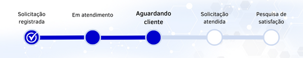 SS GOVI - BR - 4 - Aguardando Cliente.png