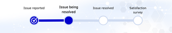 SS GOVI - EN - 2 - Issue Being Resolved - Não Implementado.png