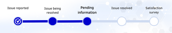 SS GOVI - EN - 3 - Waiting for user - Pending Information.png