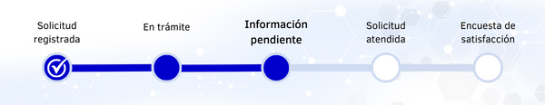 SS GOVI - ES - 3 - Informacion pendiente.png