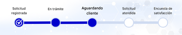 SS GOVI - ES - 4 - Aguardando cliente.png