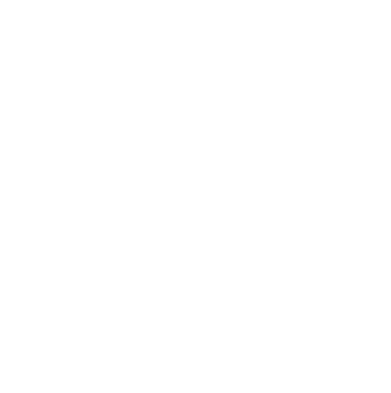 WhatsApp Logo - Digital Glyph (White) PNG.png