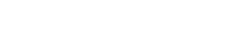 WhatsApp Logo - Digital Inline (White) PNG.png