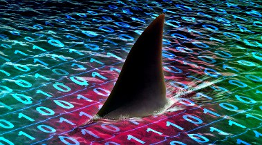 Ilustração com barbatana de tubarão, o qual está "nadando" num mar de códigos binários, da linguagem computacional, remetendo ao perigo da não proteção de dados pessoais