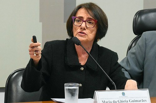 Durante audiência no Senado, Gloria Guimaraẽs, à mesa, segura um laser pointer para slides