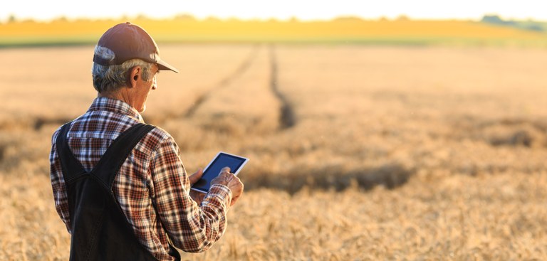 Homem, parcialmente de costas, olha para um tablet em suas mãos, em frente a uma grande plantação