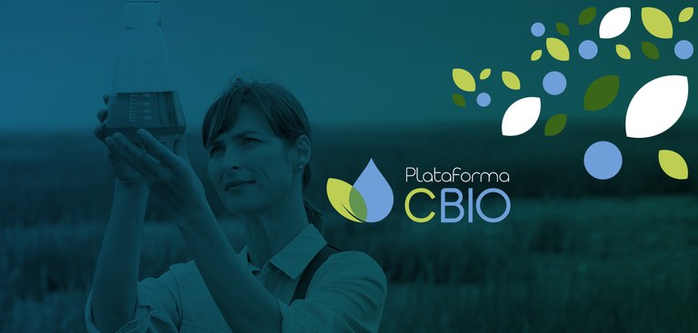 Foto de folhagens que remetem a biocombustíveis Foto de folhagens que remetem a biocombustíveis