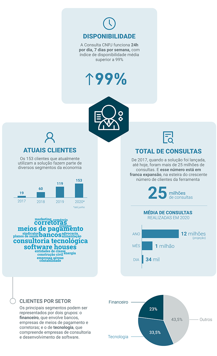 Infográfico com números da Consulta CNPJ