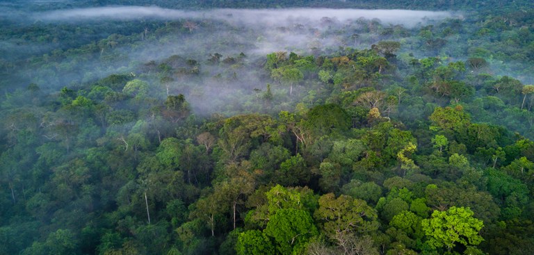Amazônia