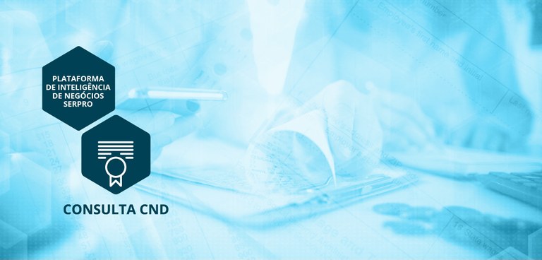 Consulta-CND-Certidão-Negativa-de-Débitos
