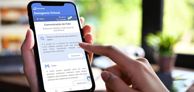 delegacia virtual roraima tocantins serpro.jpg