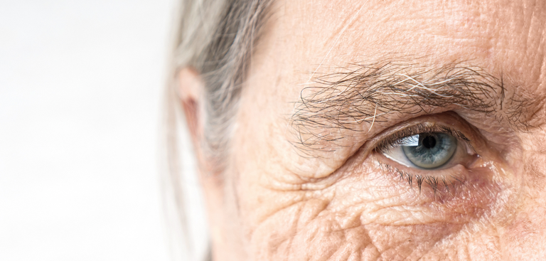 Fragmento de um retrato de uma mulher idosa. A foto é um close de seus olhos