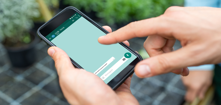 Close das mãos de uma pessoa segurando um celular e acionando o Whatsapp do Incra