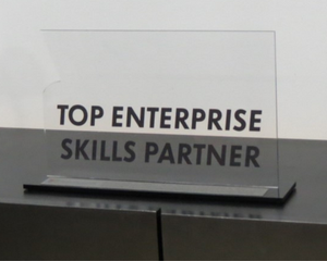 Serpro é Top 1 no programa Enterprise Skills Partner