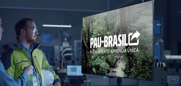 pau_brasil_1500x717.png