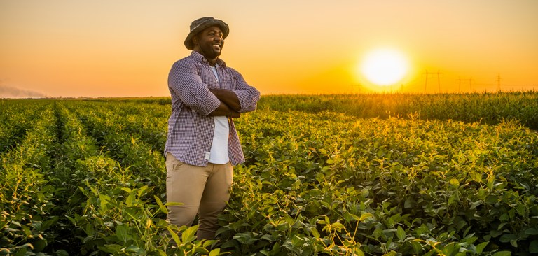 Homem do campo contempla o verde de sua plantação durante um dourado por do sol