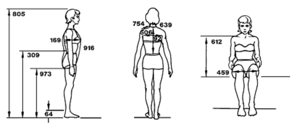 Antropometria