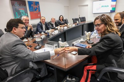 O governador Rafael Fonteles e a diretora de Desenvolvimento do Serpro, Ariadne Fonseca, conversaram sobre parcerias tecnológicas