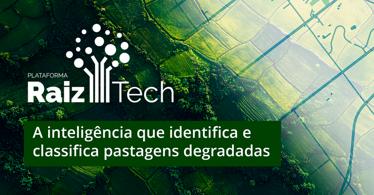 Raiz Tech Raiz Tech