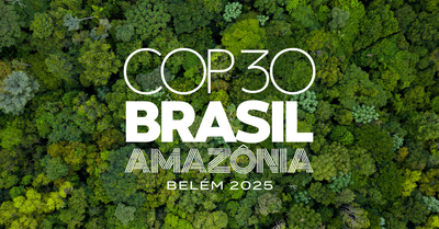 Visto eletrônico vai facilitar a entrada no Brasil durante a COP30