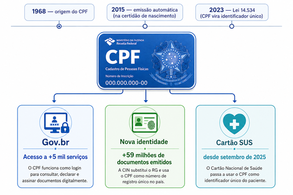 Infográfico CPF Infográfico CPF