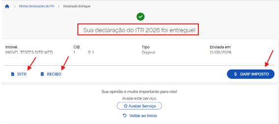 Tela 6