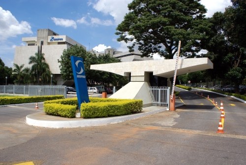 Sede