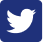 twitter icon
