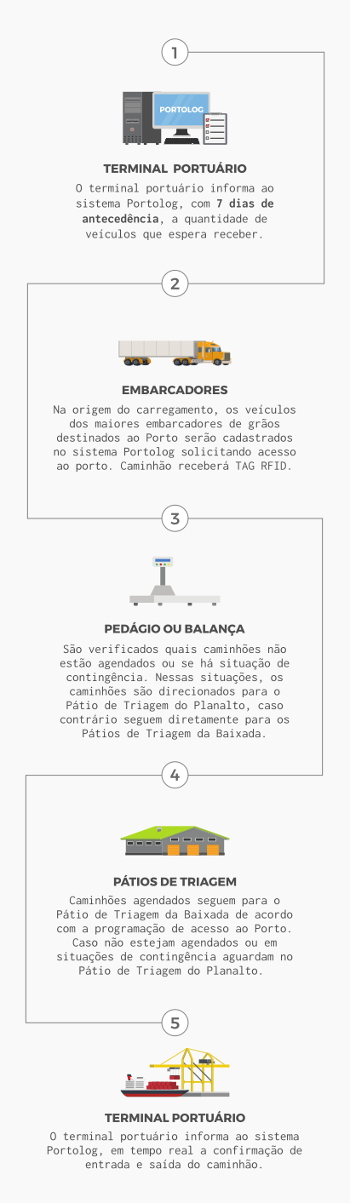 infografico-portolog.png